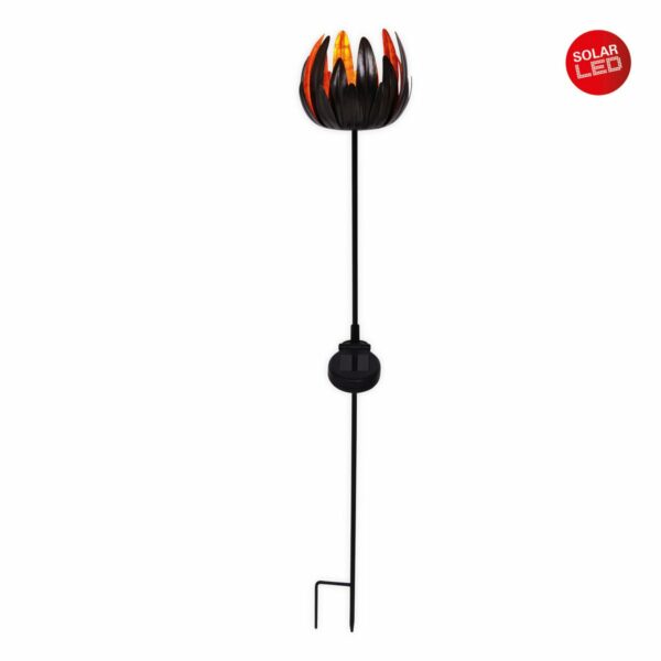 Product - Afbeelding 2